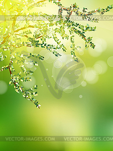 Beautiful Nature Bokeh. EPS 10 - vector image