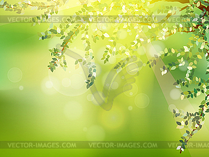 Fresh green leaves on natural. EPS 10 - vector clip art