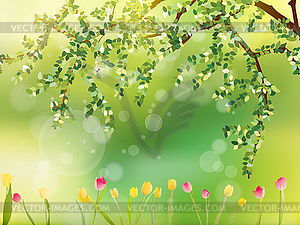 Colorful tulips in park. EPS 10 - vector image