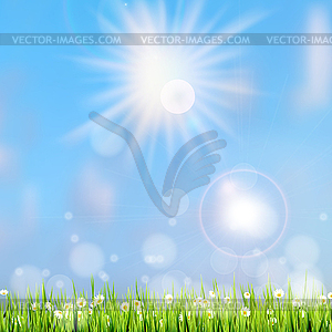 Summer grass in sun light. EPS 10 - vector clip art