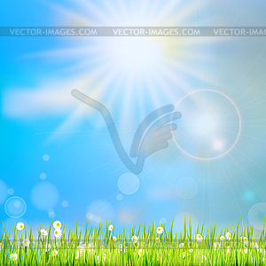 Летняя трава в солнечном свете. EPS 10 - изображение векторного клипарта