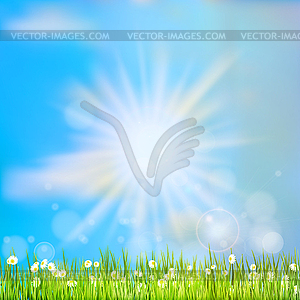 Summer grass in sun light. EPS 10 - vector clipart / vector image