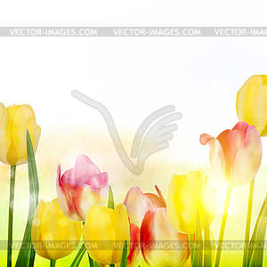 Beautiful spring flowers. EPS 10 - vector image