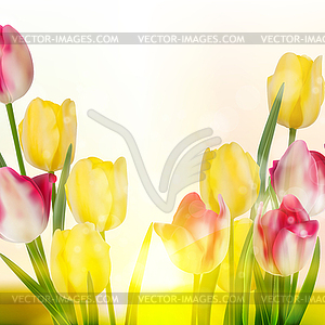 Green grass and pink tulips. EPS 10 - vector clipart / vector image