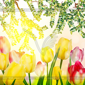 Green grass and pink tulips. EPS 10 - vector clip art