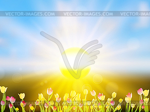 Colorful spring flowers tulips. EPS 10 - vector clip art