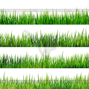 Fresh spring green grass . EPS 10 - vector clipart / vector image