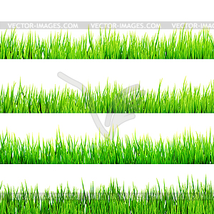 Fresh spring green grass . EPS 10 - vector image