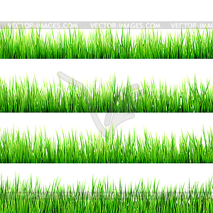 Fresh spring green grass . EPS 10 - vector clipart