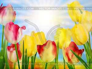 Beautiful spring flowers. EPS 10 - vector clipart