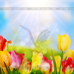 Colorful spring flowers tulips. EPS 10 - royalty-free vector clipart