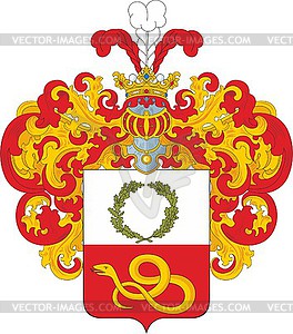 Tsemsh family coat of arms - vector image