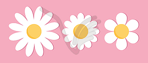 Cute chamomile flowers. Cute chamomile flower icons set - vector image