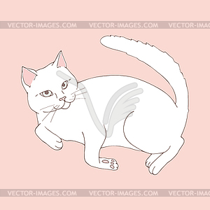 Cute white cat posing on pastel pink background - vector clip art