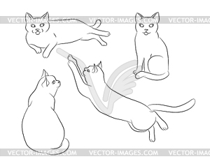 Cute hand drawn white cat in different positions - vector image