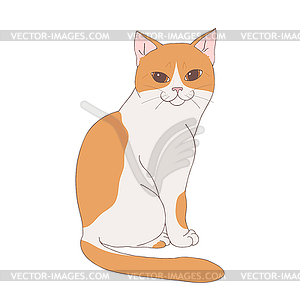 Cute white and ginger cat posing isolated - vector image