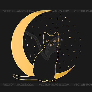 Black cat sitting on a crescent. Magic and sorcery - vector image