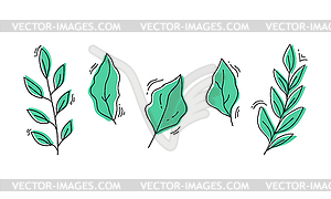 Line foliage leaves set. Hand drawn botanical green set - stock vector clipart