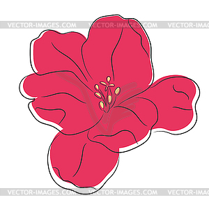 Flower outline. Beautiful flower head line  - vector clip art