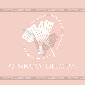 Ginkgo biloba leaf logo design. Botanical emblem - vector image