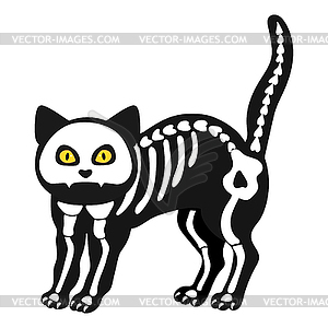 Скелет кошки, выделенный на белом фоне - векторное графическое изображение