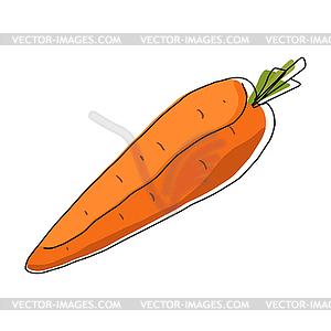 Line carrot on white background. Vector illustration - vector EPS clipart