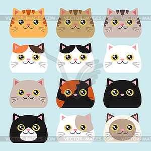 Collection of cat heads with different colors - vector image