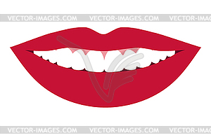 Женские губы и зубы. Женская улыбка. Векторная иллюстрация - изображение в векторе