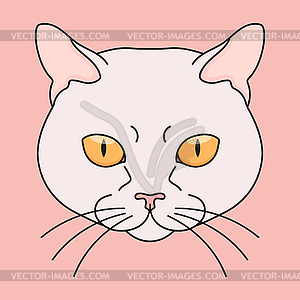 Кошачья голова на розовом фоне. Кошачья мордочка - клипарт в векторе / векторное изображение