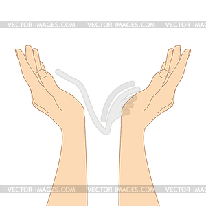 Hand drawn cupped hands isolated on white background - vector image