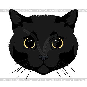 Cat head isolated on white background. Feline face - vector clipart