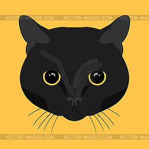 Black cat head on yellow background. Feline face - vector image