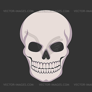 Evil human skull on black background. Skull icon emblem - vector image