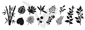 Set of various plants silhouettes. Branches, leaves - vector clipart