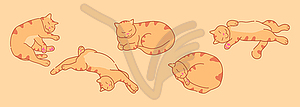 Cute lazy ginger cat in different positions - vector image