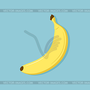 Ripe banana fruit on blue background. Cartoon banana - stock vector clipart